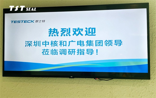 Welcome the leaders of Shenzhen CNNC and SCADA to visit TST cable for research and guidance 