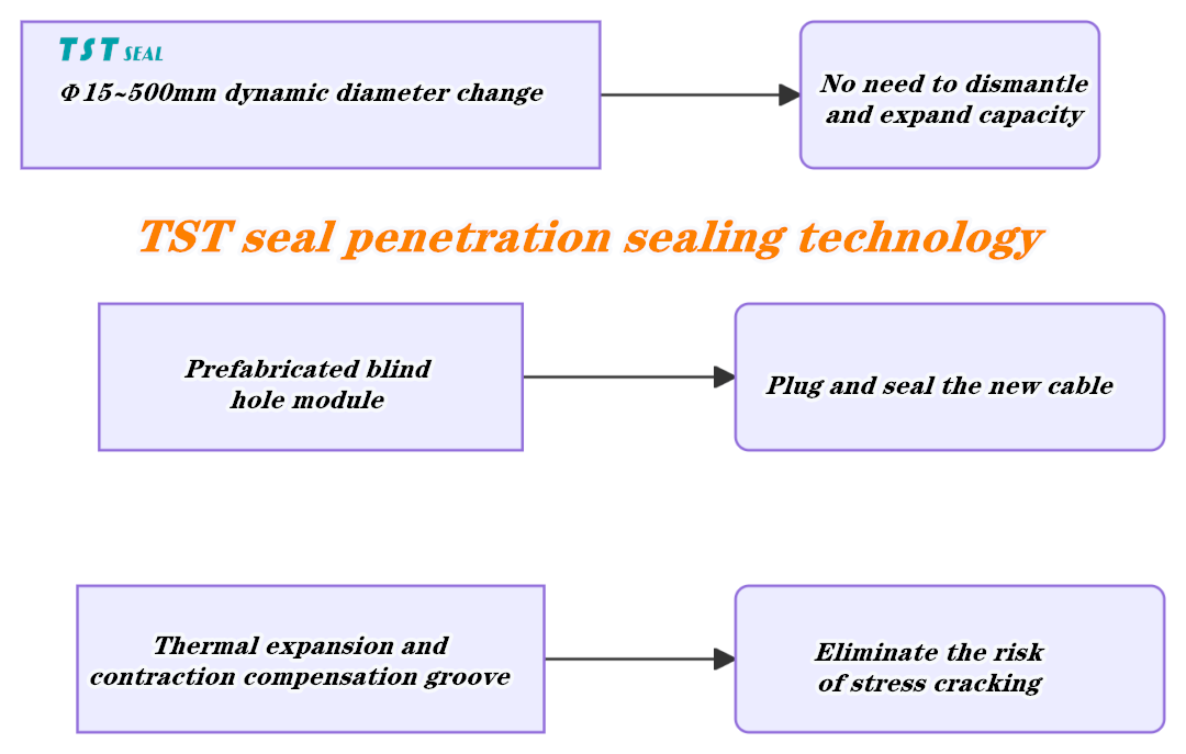 TST seal penetration sealing technology