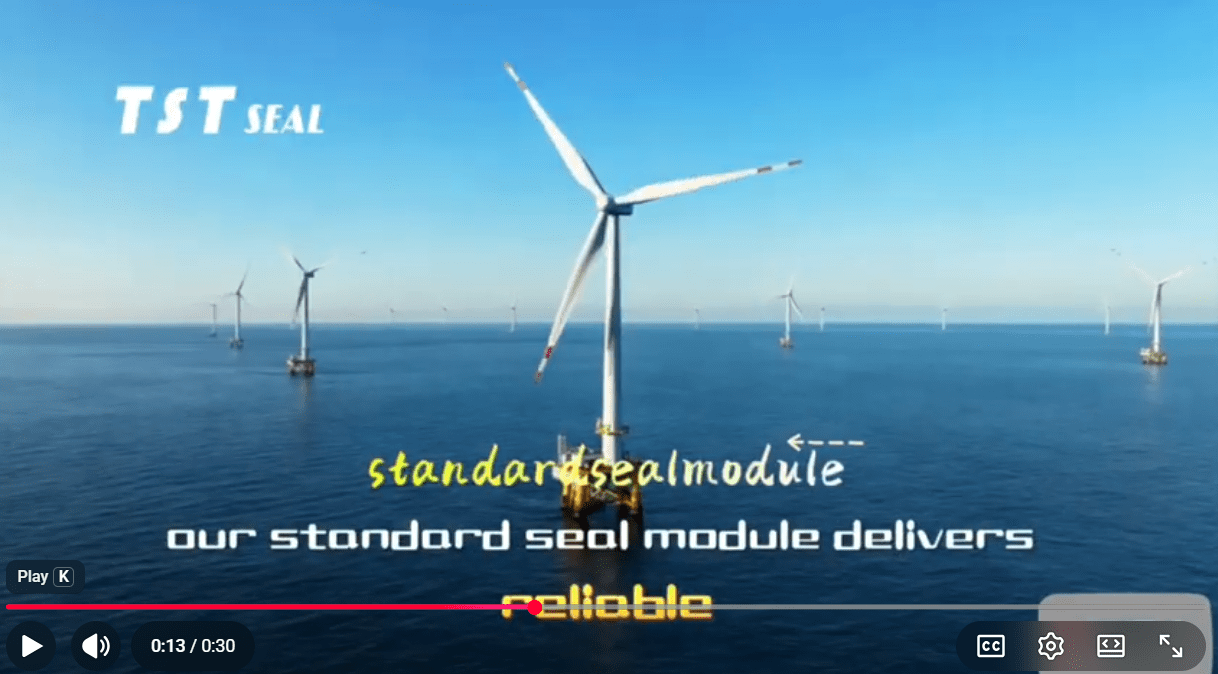 Applications and Performance Requirements of Sealing Modules in Offshore Wind Power Equipment